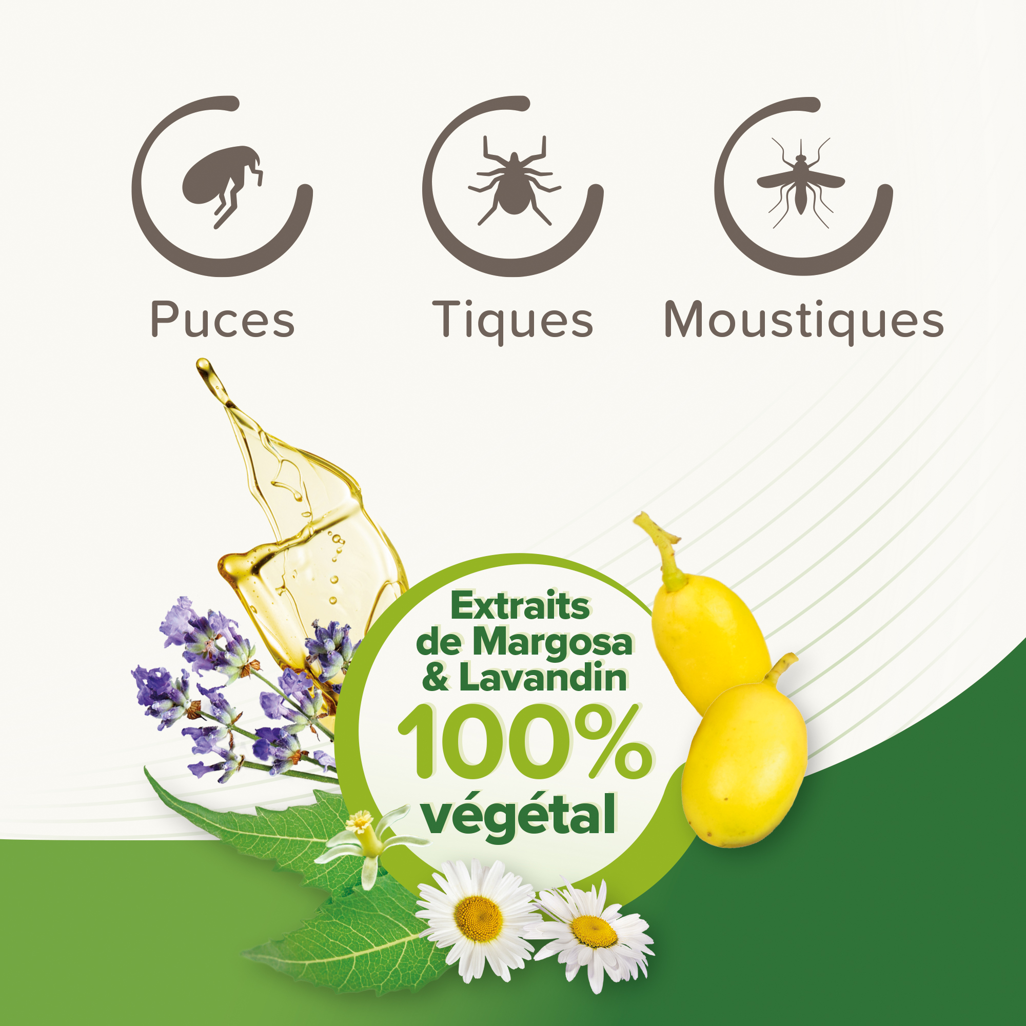Vétopure – Collier répulsif antiparasitaire pour chat et chaton – BEAPHAR – Image 4