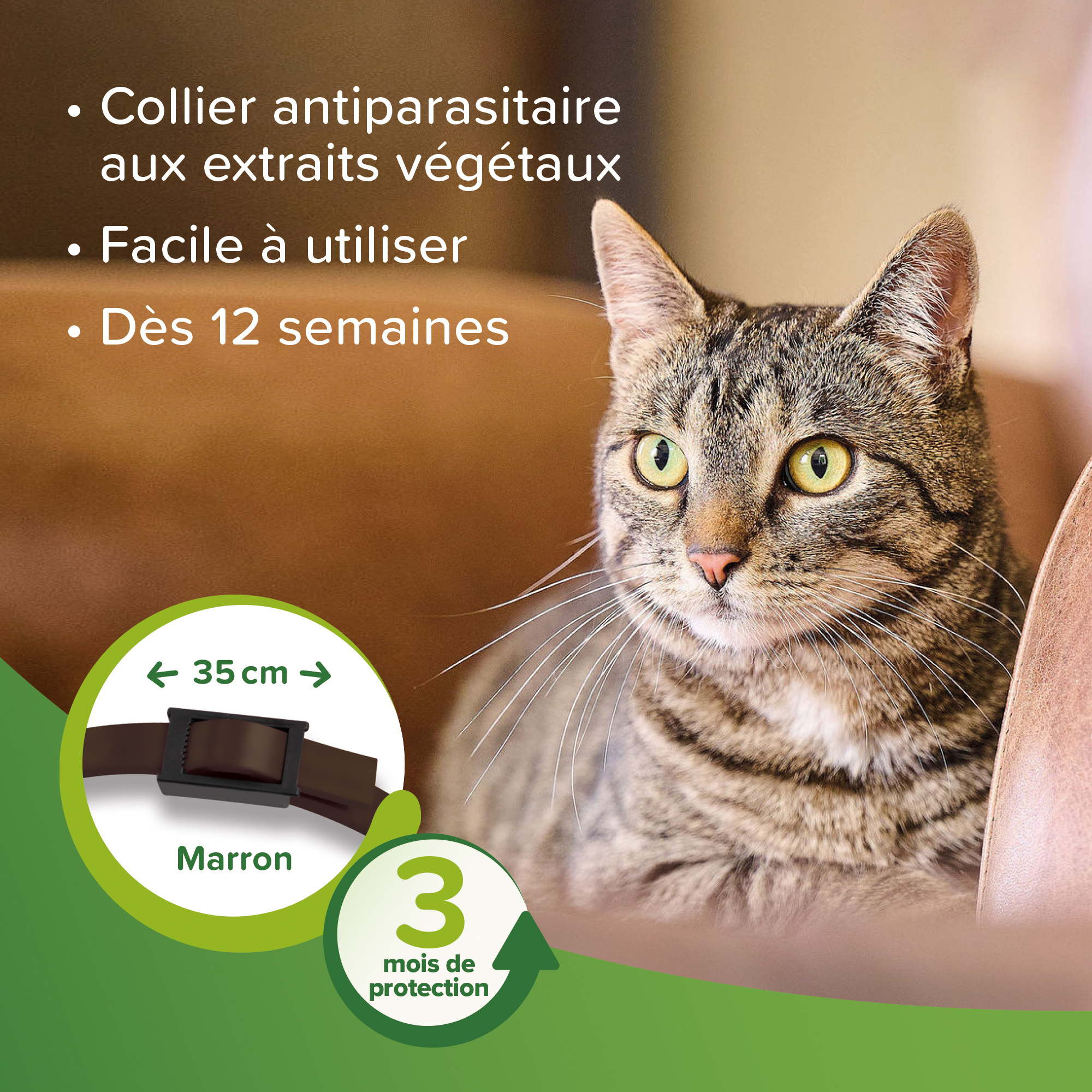 Vétopure – Collier répulsif antiparasitaire pour chat et chaton – BEAPHAR – Image 5