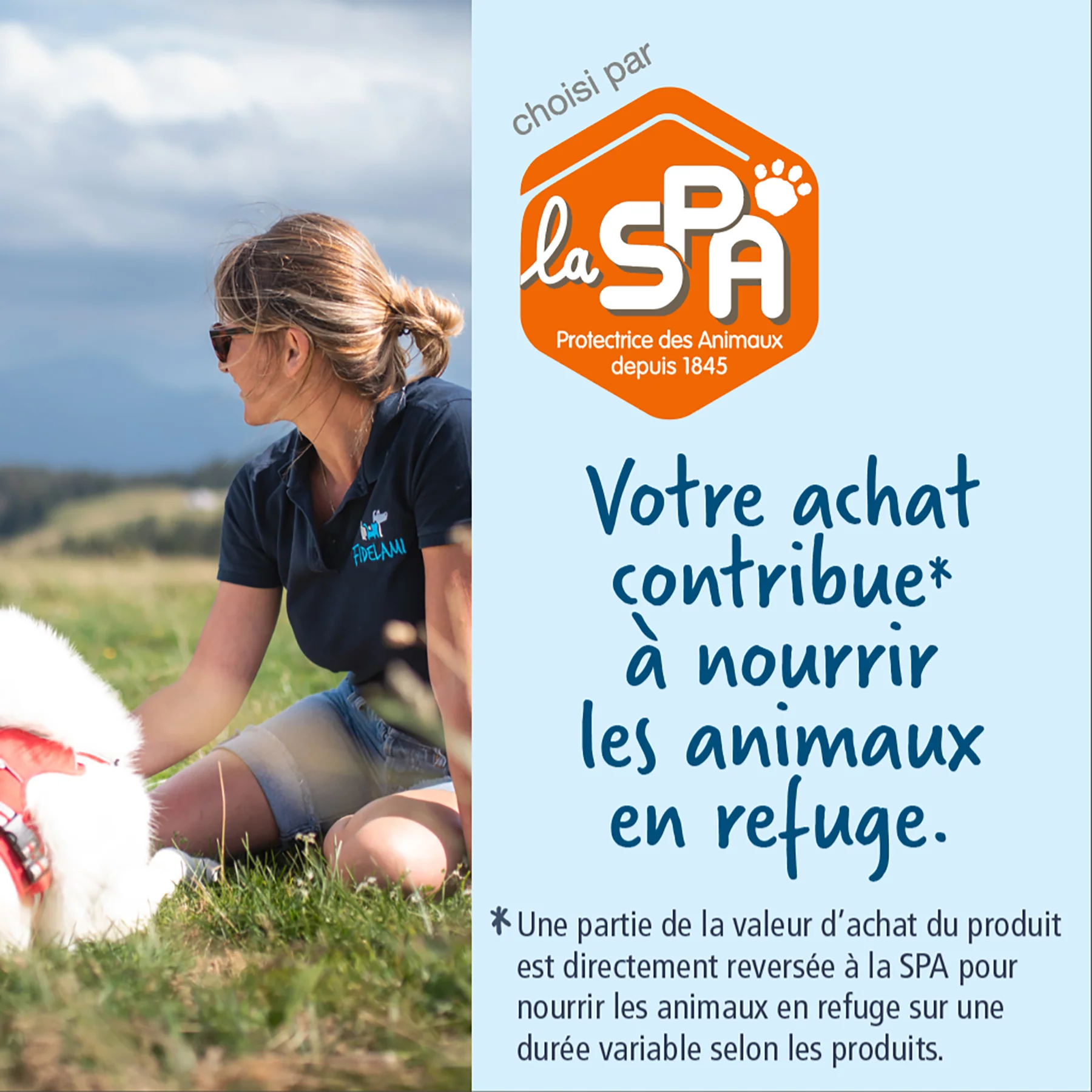 Laisse rétractable tendance – Image 4
