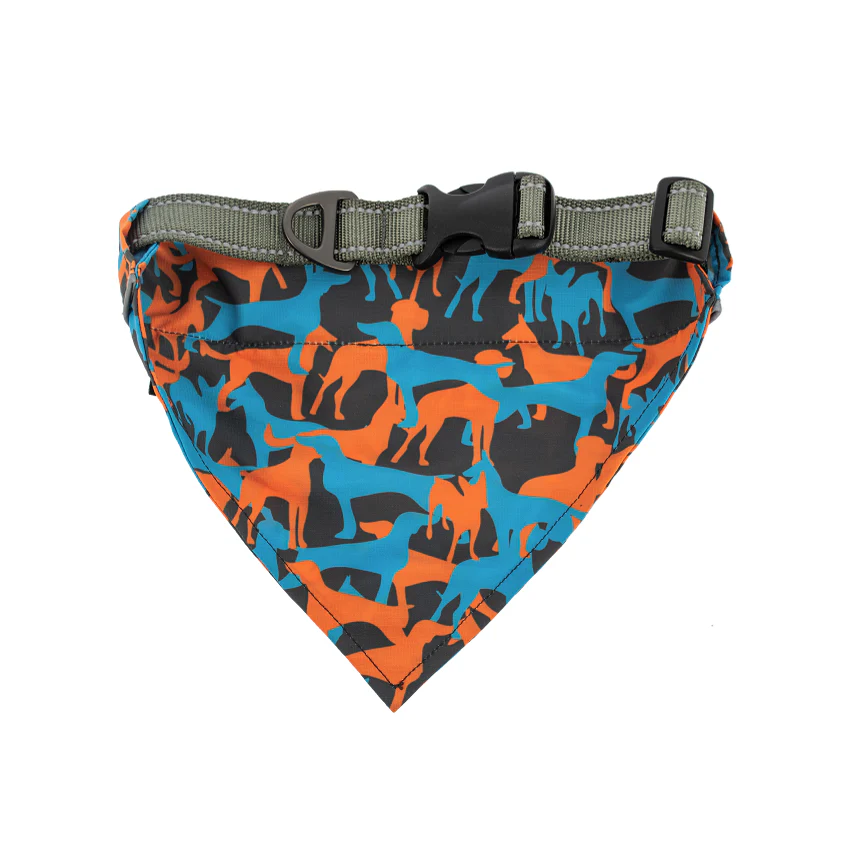 Bandana Dog – Image 3