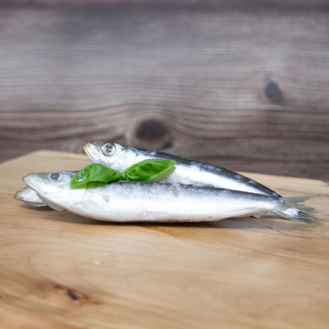 Big Country Raw Chien Sardines – Image 3