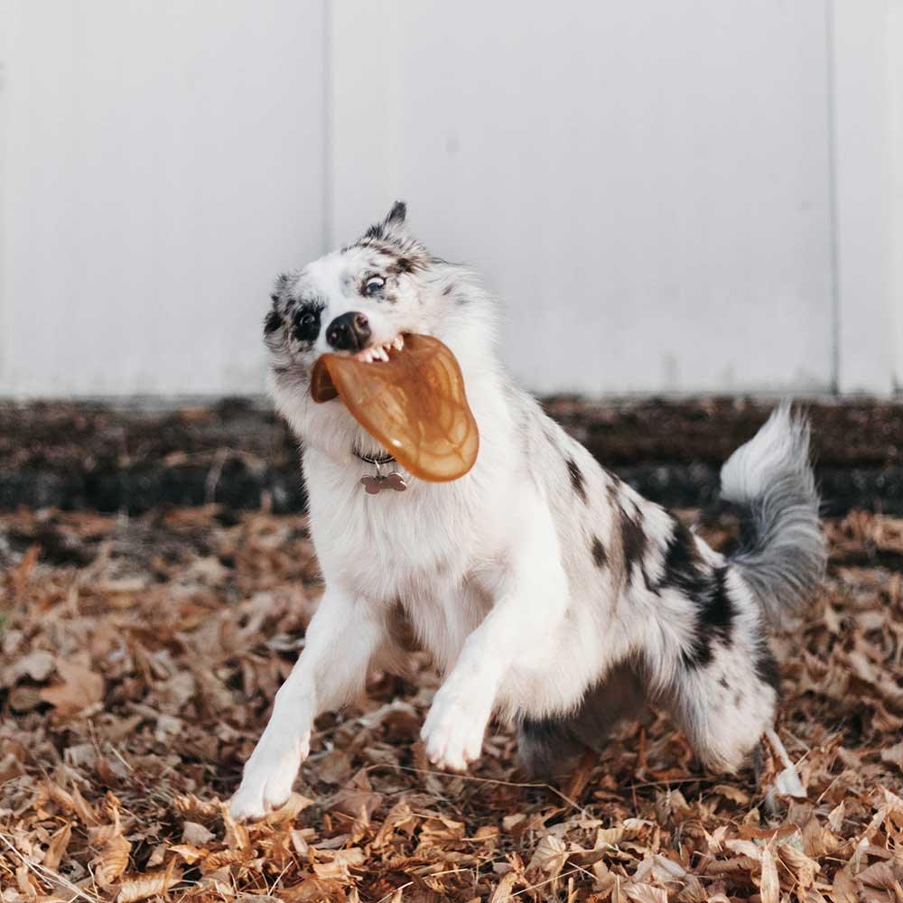 đ¶ Frisbee en rĂ©sine organique â Image 7